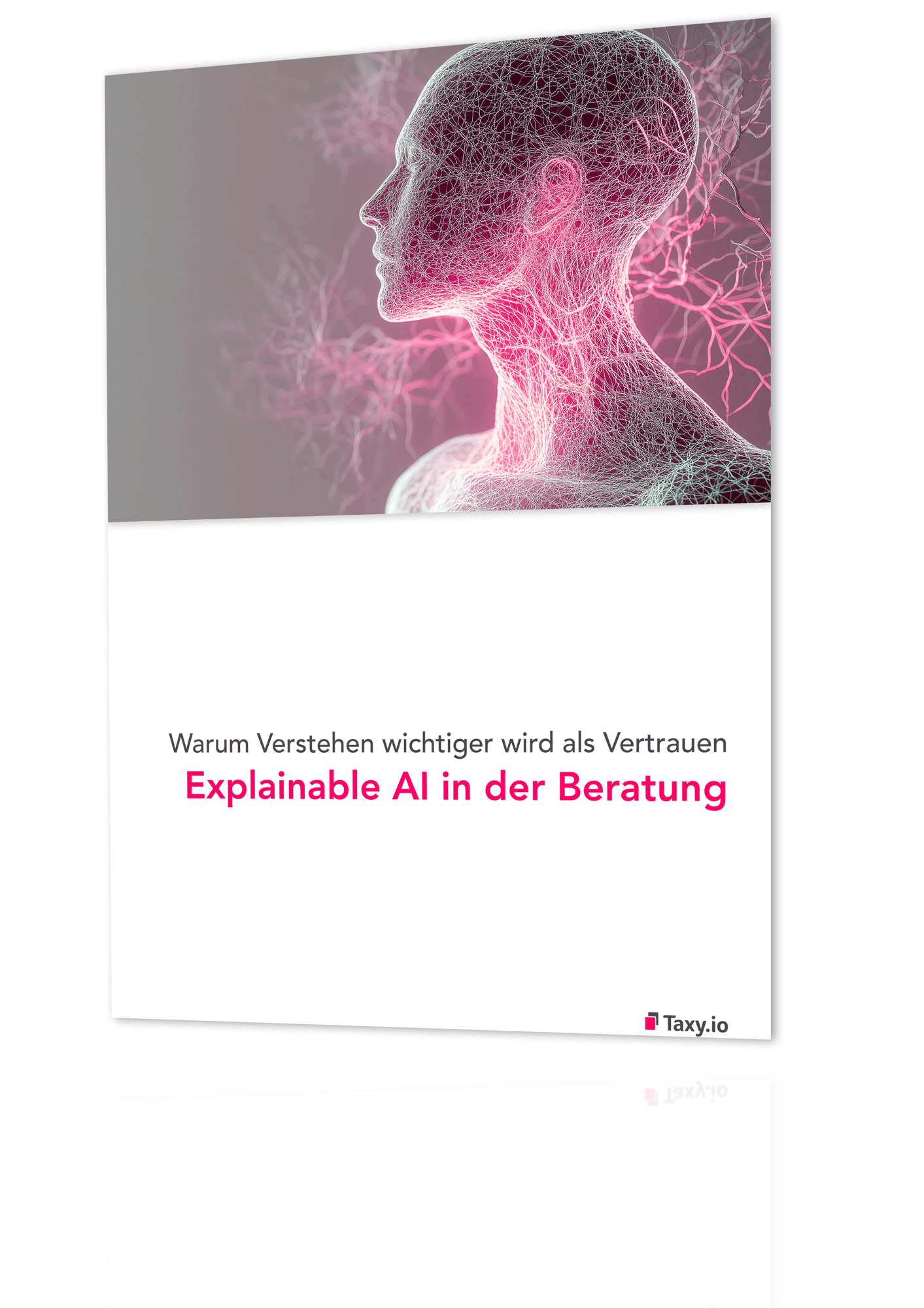 LP Whitepaper Explainable AI