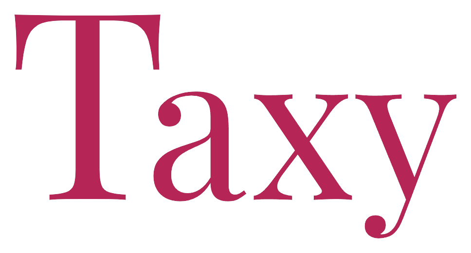 Taxy – Die KI für Profis